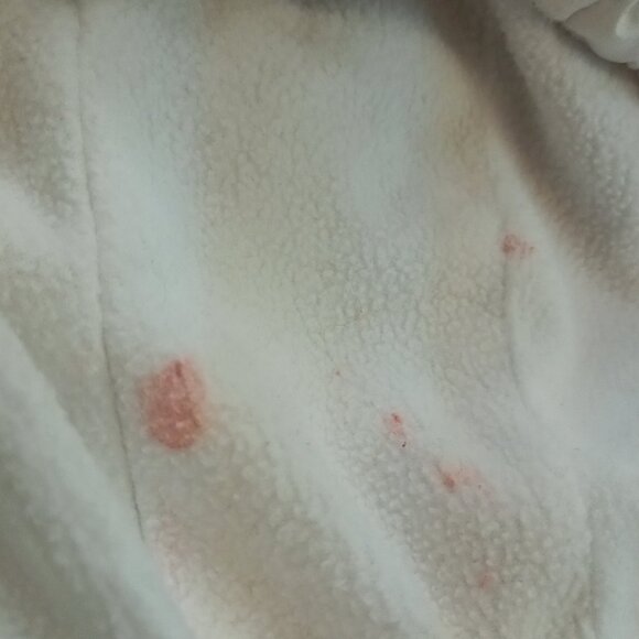 Vintage Reebok 90s Soccer Canada Windbreaker (L) - Picture 10 of 10